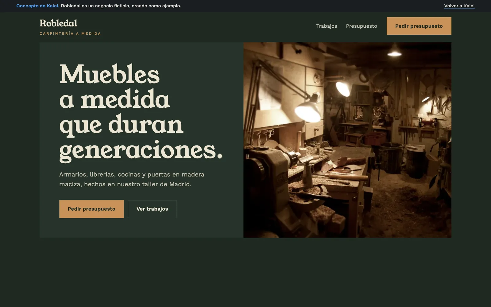Portada de la web de muestra de Robledal